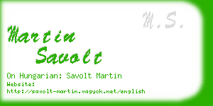 martin savolt business card